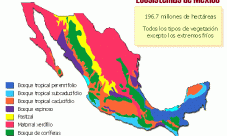 Principales ecosistemas de México