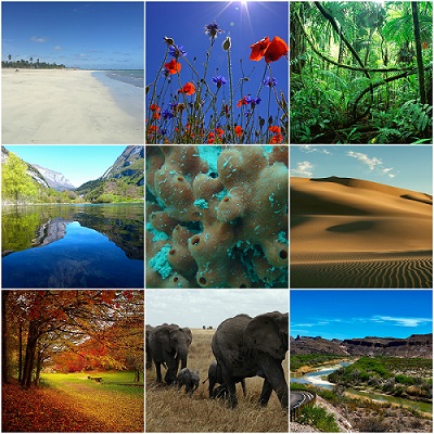 Características de los ecosistemas